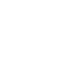 Šaty